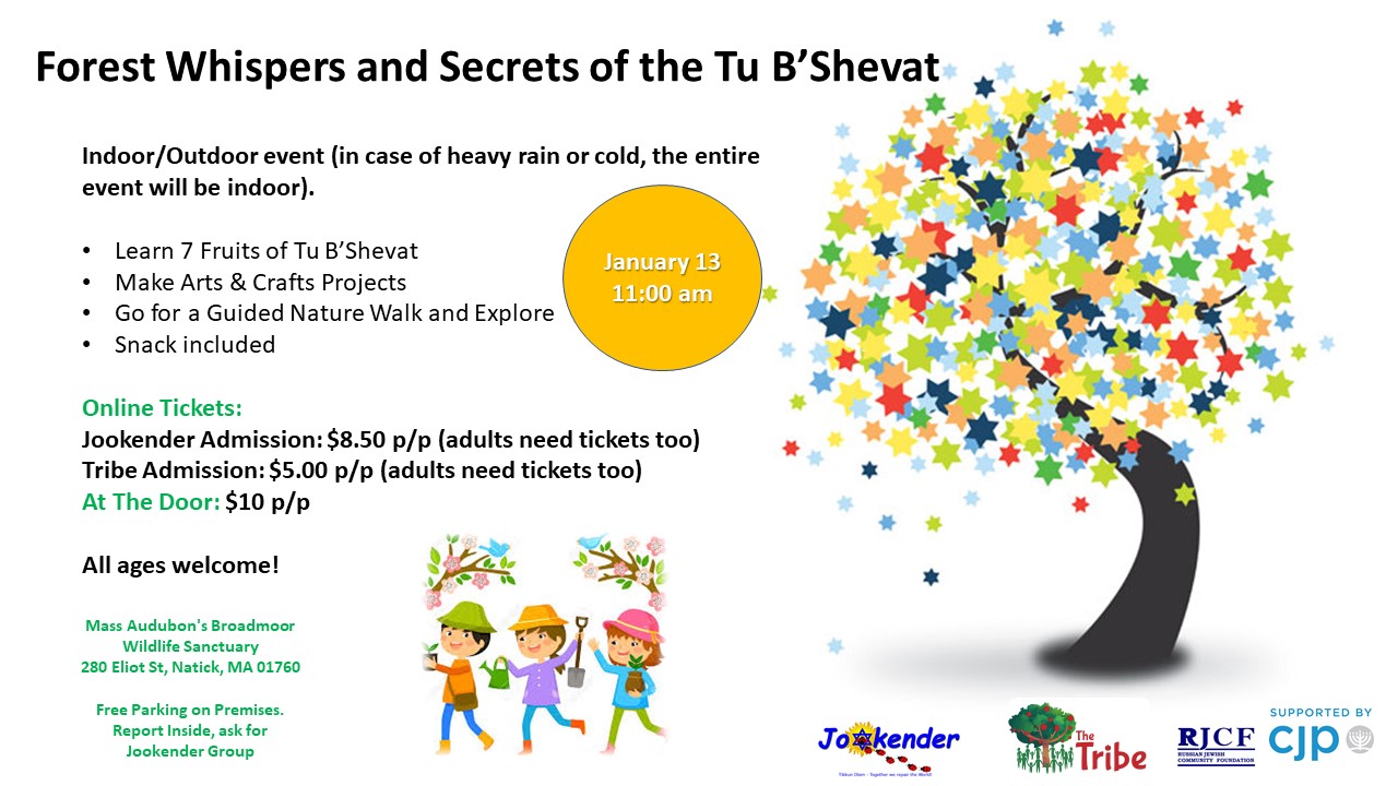 Forest Whispers and Secrets of the Tu B`Shevat
