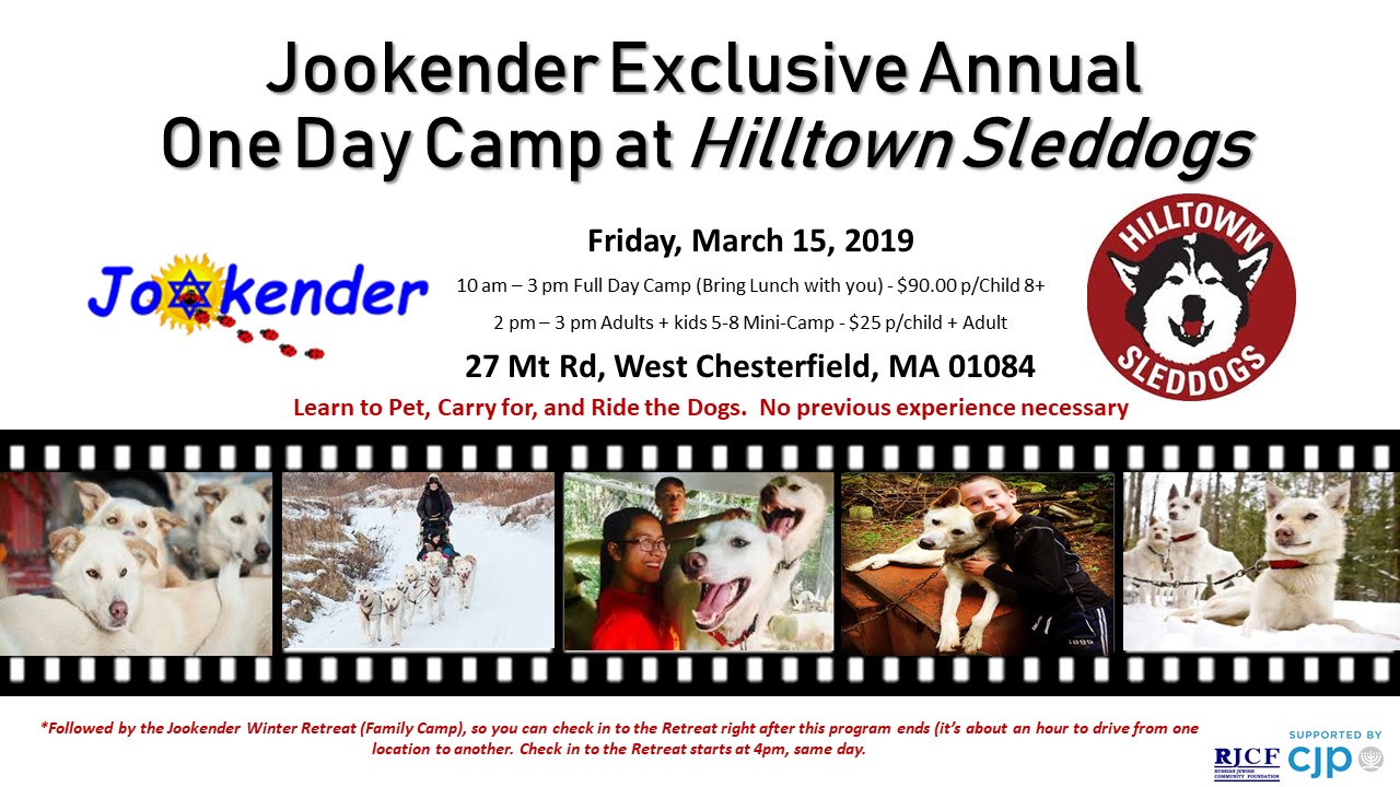 Jookender Exclusive Annual One Day Camp at Hilltown Sleddogs