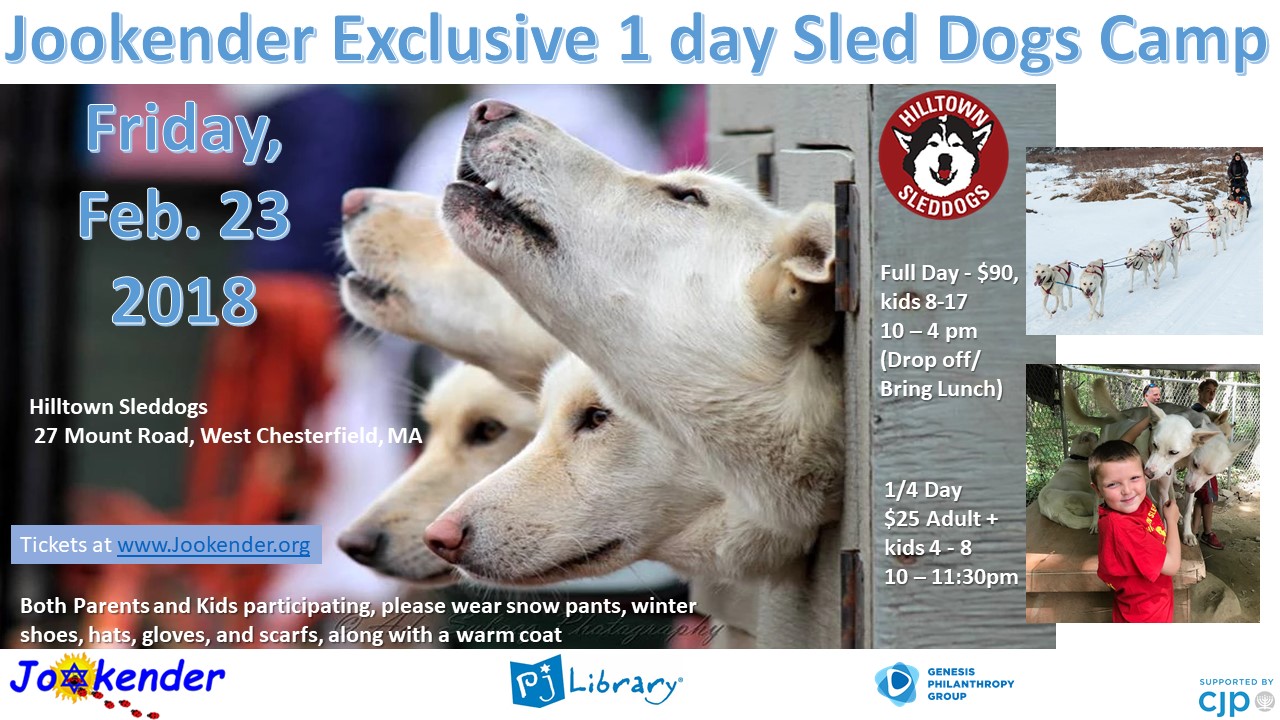 1 Day Sled Dogs Camp