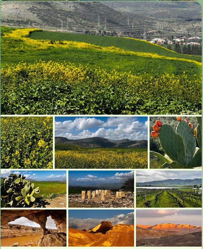 Blog Series for the Groundwork Fellowship