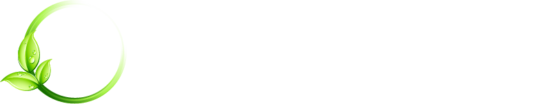 Zen Zone Spa — Beauty That`s Naturally You